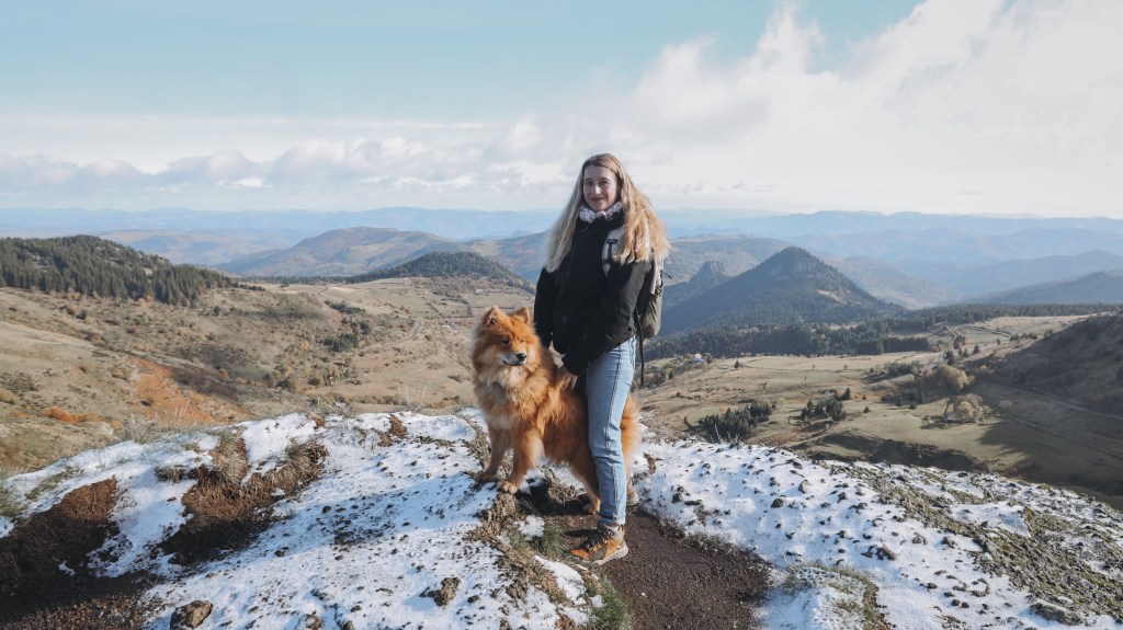 Dressage de chien et cours de comportement canin à Yssingeaux, Haute-Loire (43)
