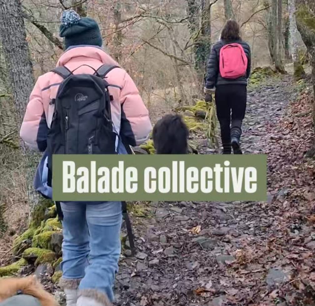 cours collectif canin haute loire yssingeaux